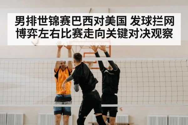 volleyball block net